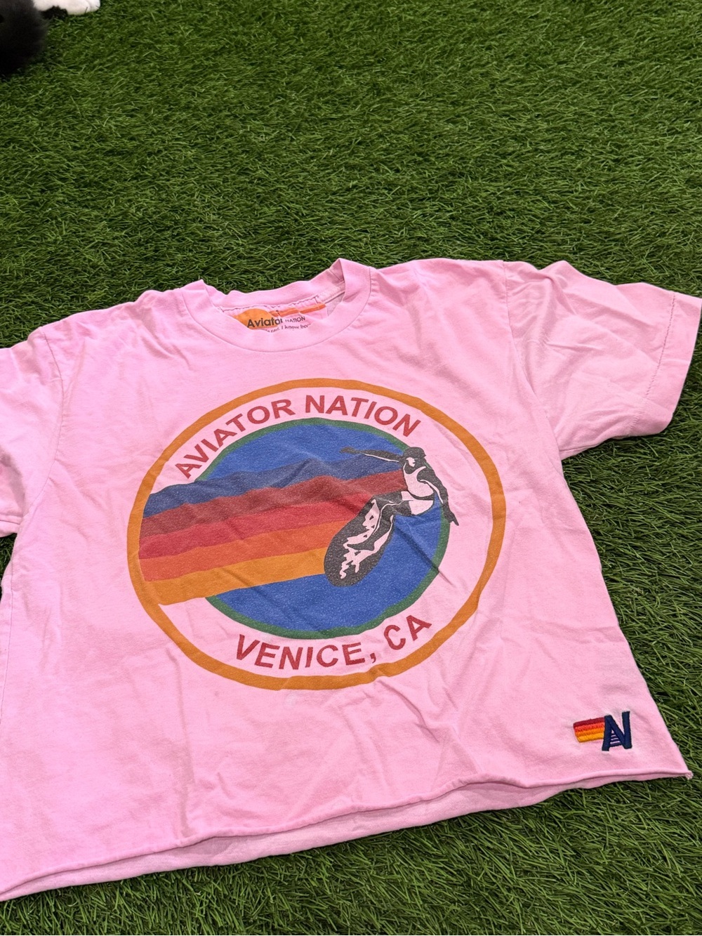 Aviator Nation Cropped Tshirt
